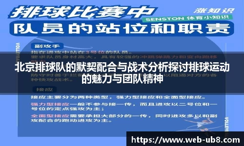 北京排球队的默契配合与战术分析探讨排球运动的魅力与团队精神